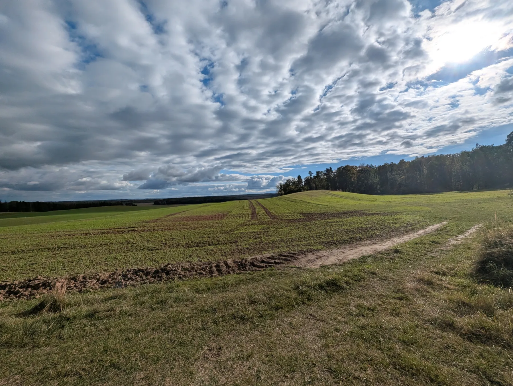 Feldweg und offene Landschaft bei Naugarten