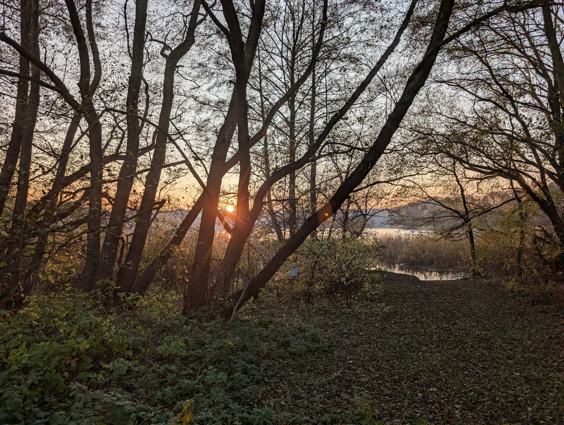 Abendsonne über dem Naugartener See
