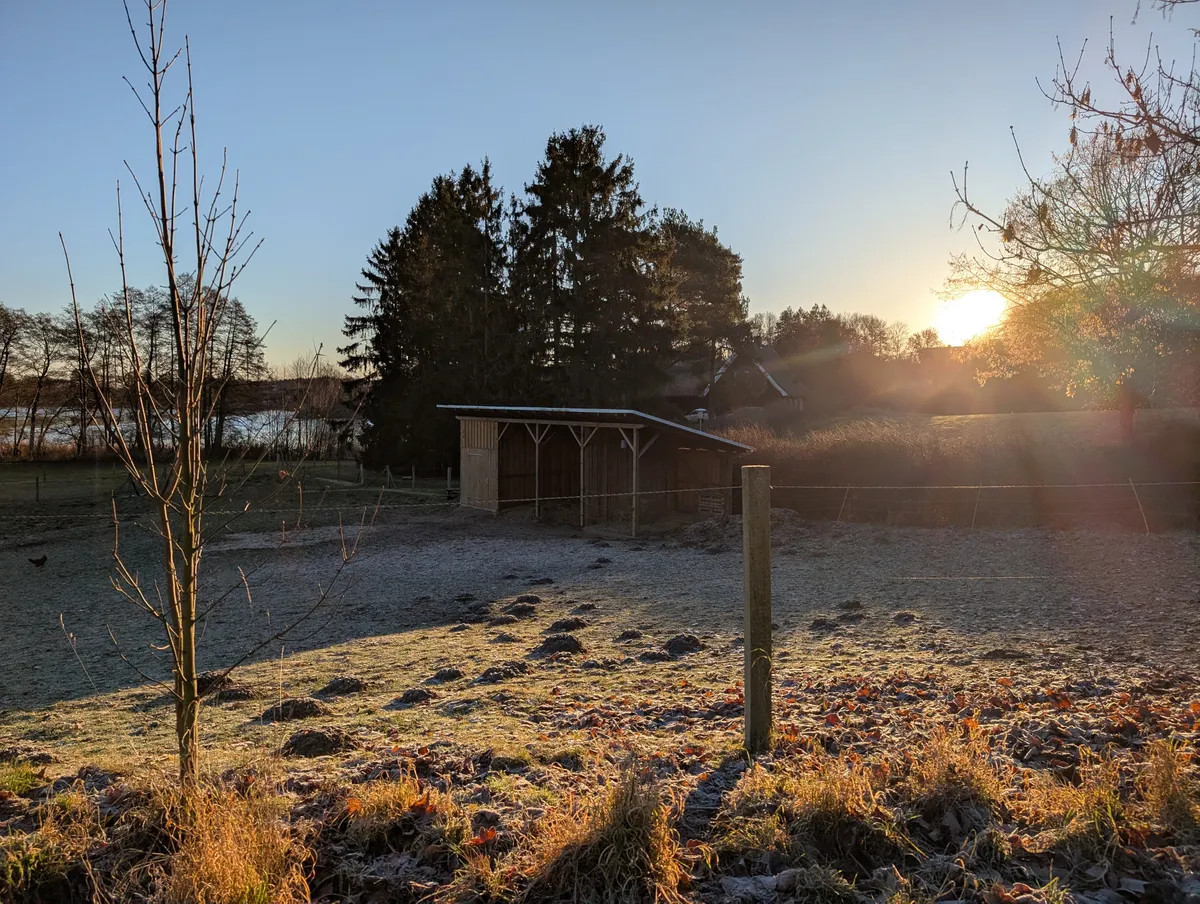 Frostiger Morgen am Naugartener See
