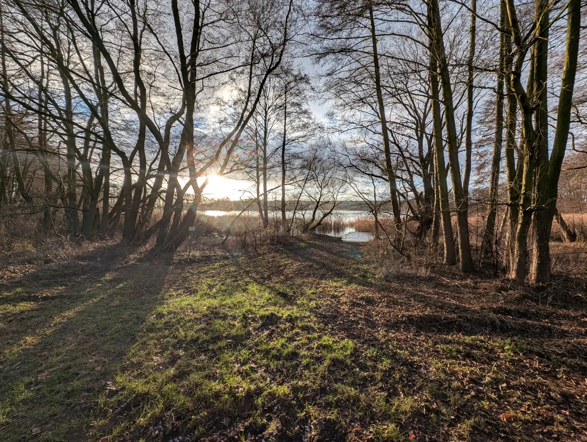 Waldrand und offene Landschaft am Naugartener See