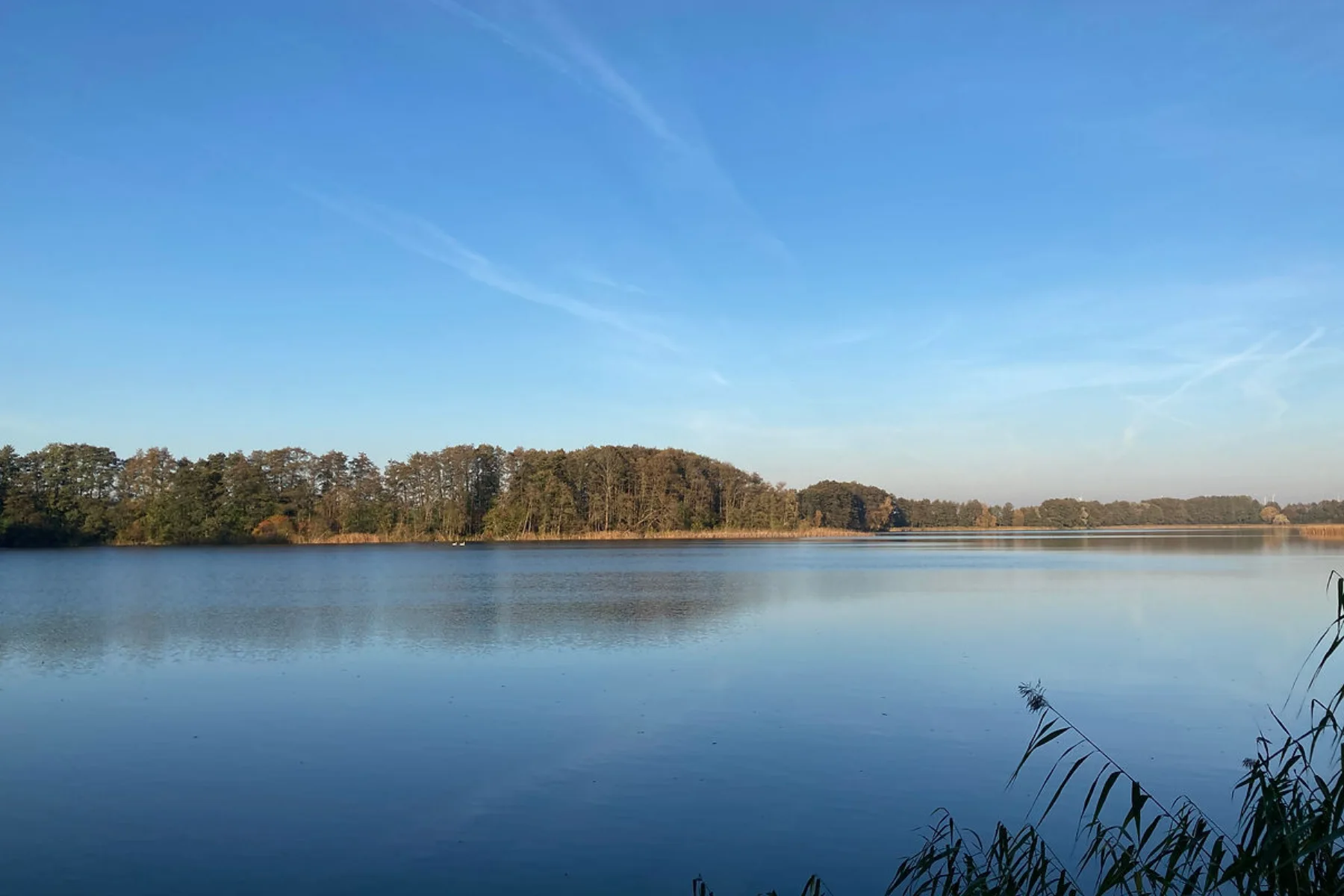 Blick über den Naugartener See