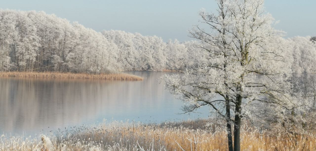 Winterlandschaft am Naugartener See